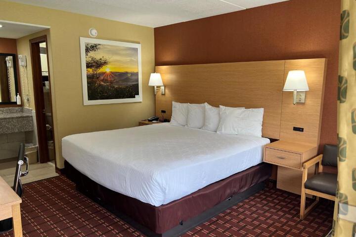 1 King Bed (5 of 8)