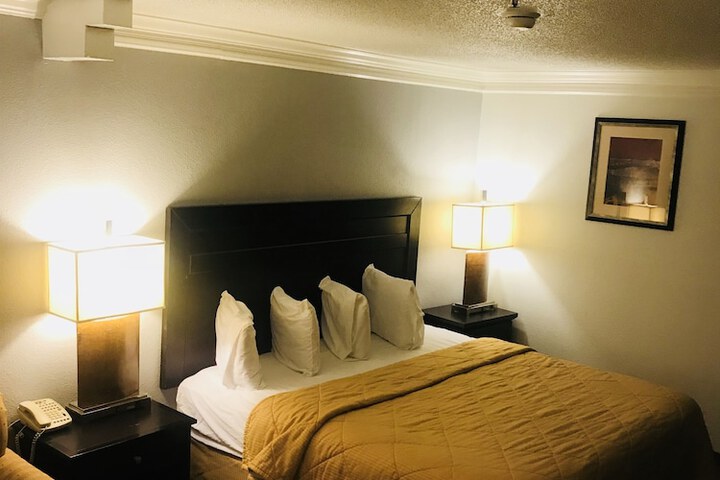 Standard King Bed Accessible (13 of 14)