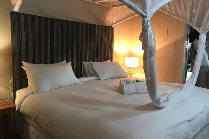 Room 5 of 41