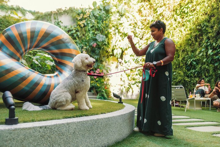 Pet Friendly 75 of 103