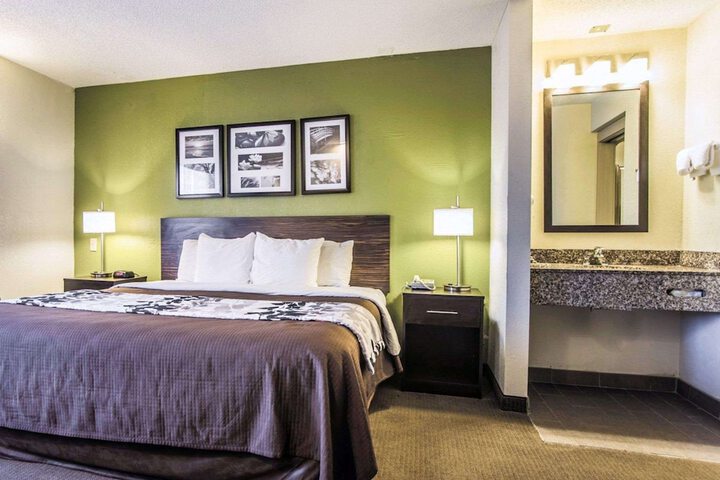 1 King Bed Pet Friendly (6 of 7)