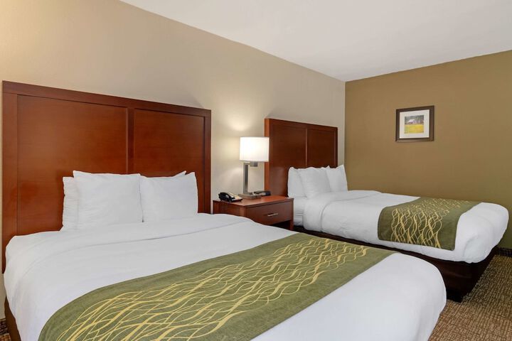 2 Queen Beds (8 of 10)