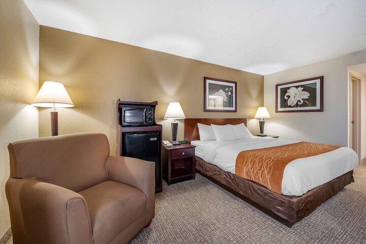 1 King Bed (8 of 16)