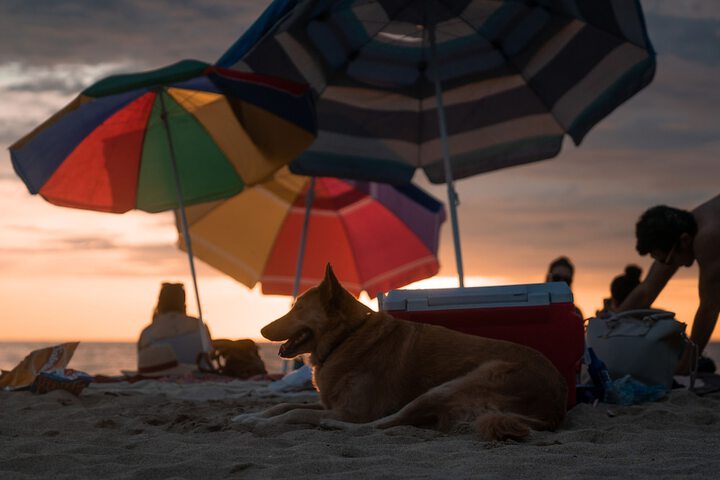 Beach 89 of 122