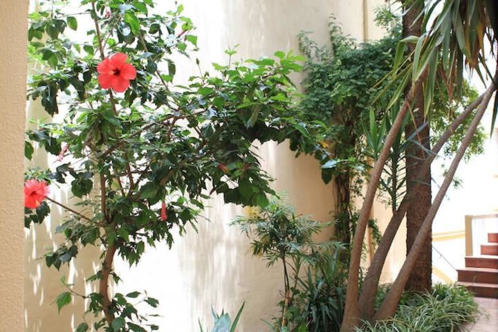 Courtyard