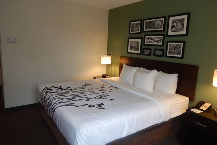 Room 8 of 46