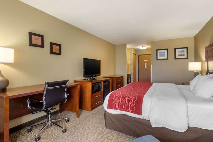 1 King Bed Accessible (16 of 18)