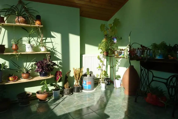 Room 10 of 12