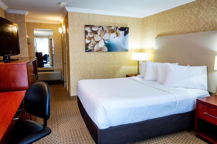 1 Queen Bed (17 of 32)