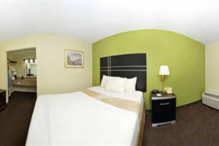 Standard Suite