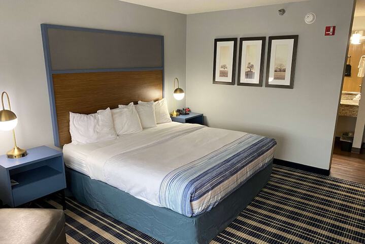 1 King Bed (18 of 20)