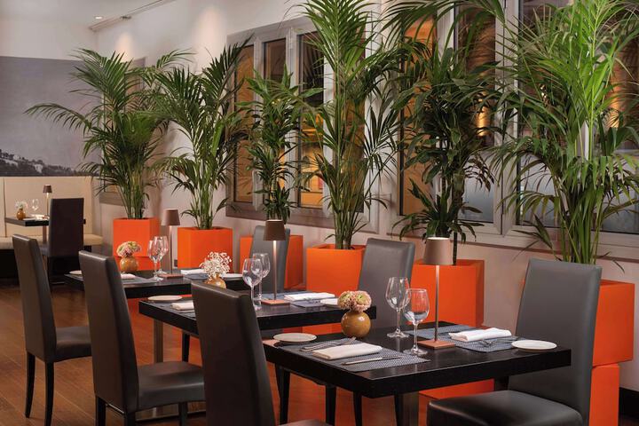 Dining 64 of 81