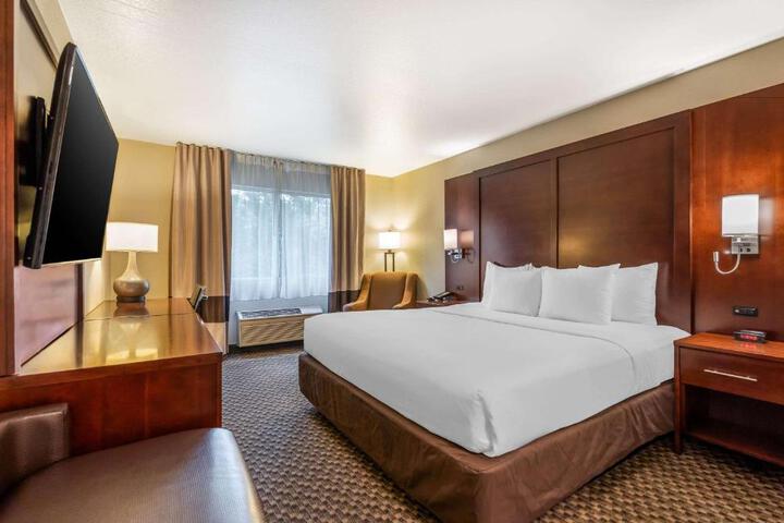 1 King Bed (3 of 6)