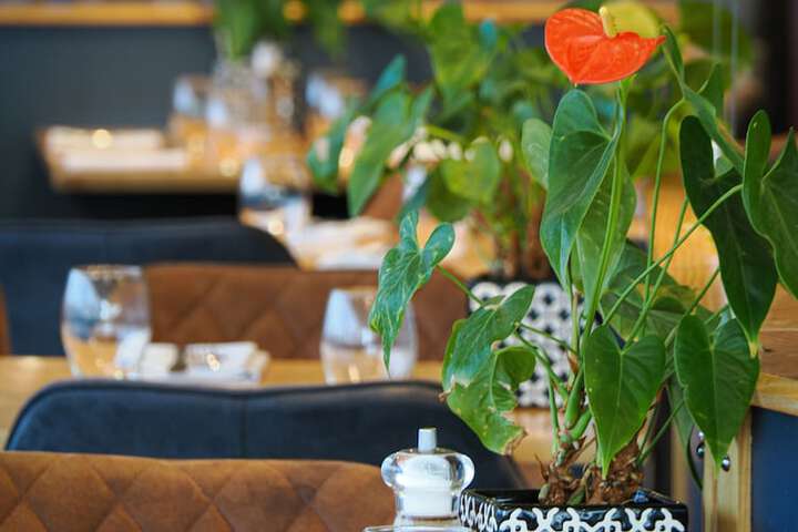 Restaurants