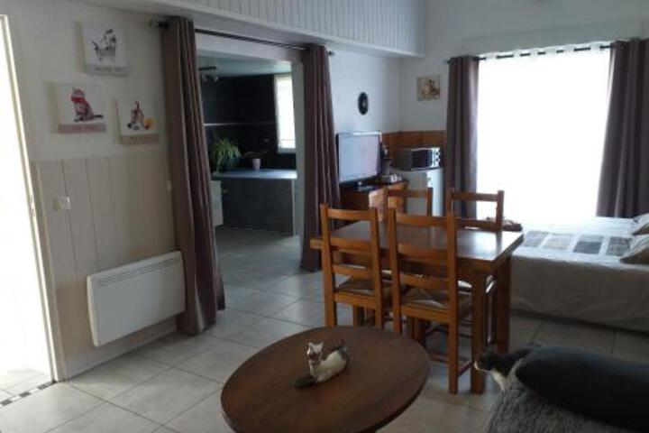 General 28 of 59