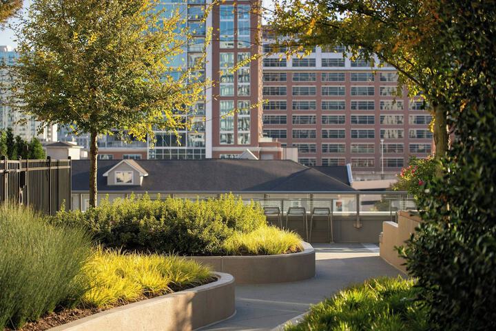 Rooftop terrace