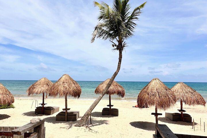 Beach 113 of 167