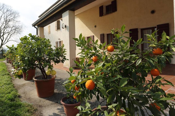 Terrace/Patio 18 of 21