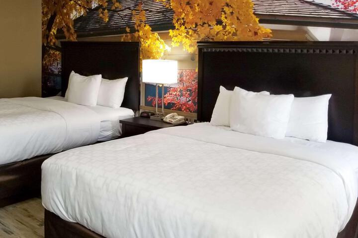 1 Queen Bed Accessible (6 of 7)