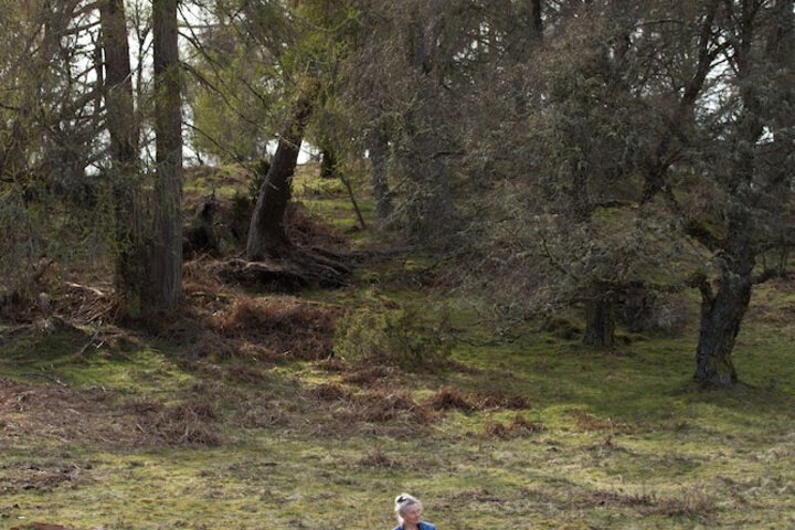Property Grounds 27 of 34