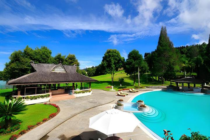 General 15 of 50