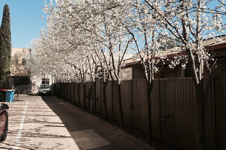 Front of property