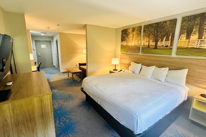 1 King Bed (17 of 19)