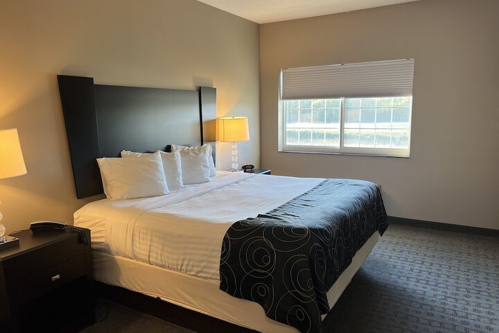 1 King Bed (8 of 17)