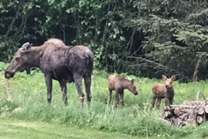 Hotel Exterior 4 of 30