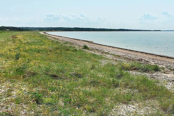 Beach 7 of 12