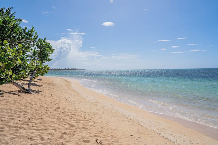 Beach 208 of 219