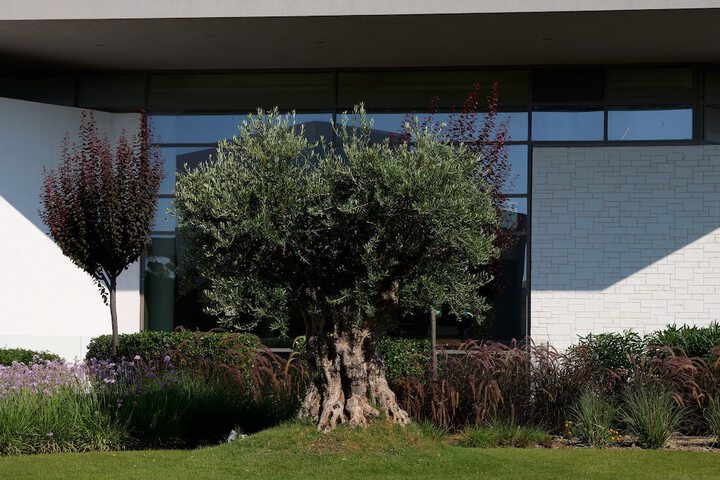 Hotel Exterior 198 of 225