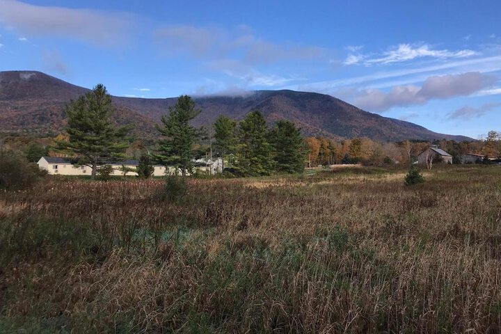 Property Grounds 49 of 69