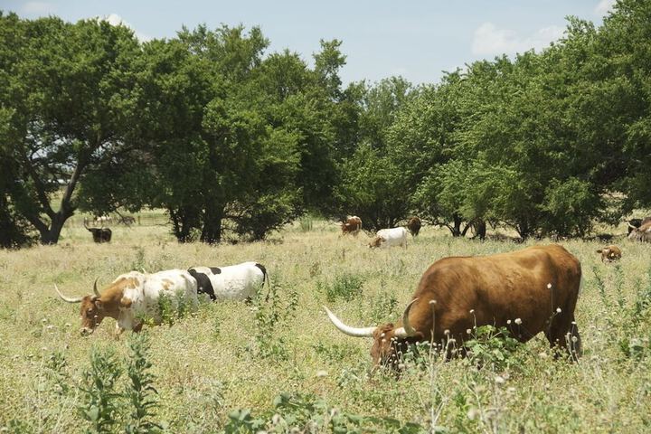 Property Grounds 35 of 79