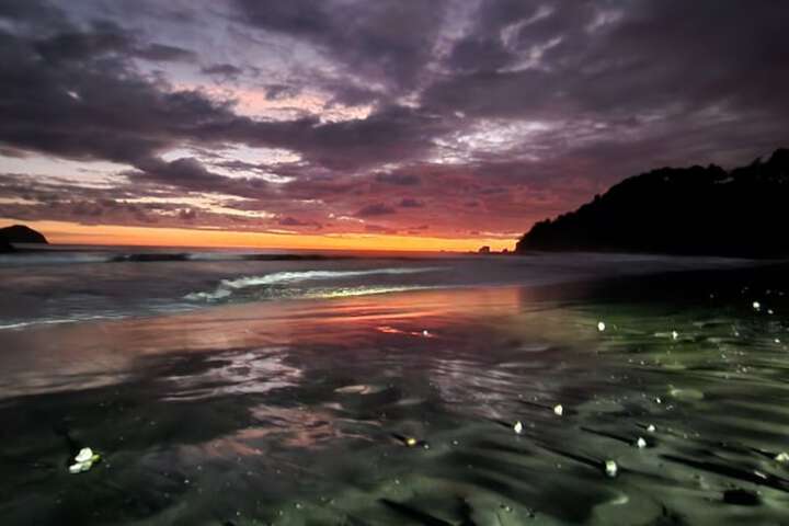 Beach 208 of 224