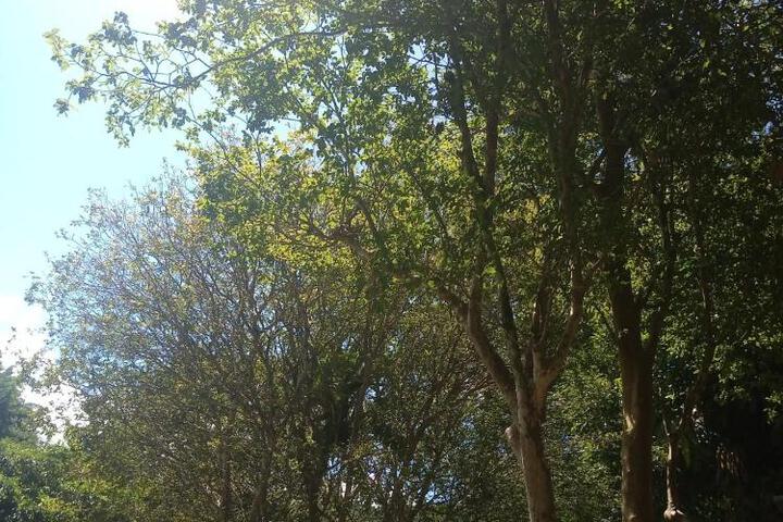 Photo 20