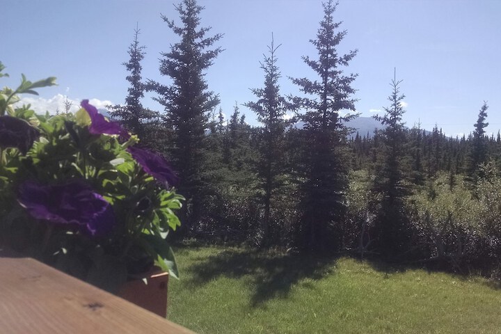 Property Grounds 54 of 87