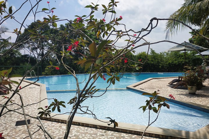 Pool 83 of 135
