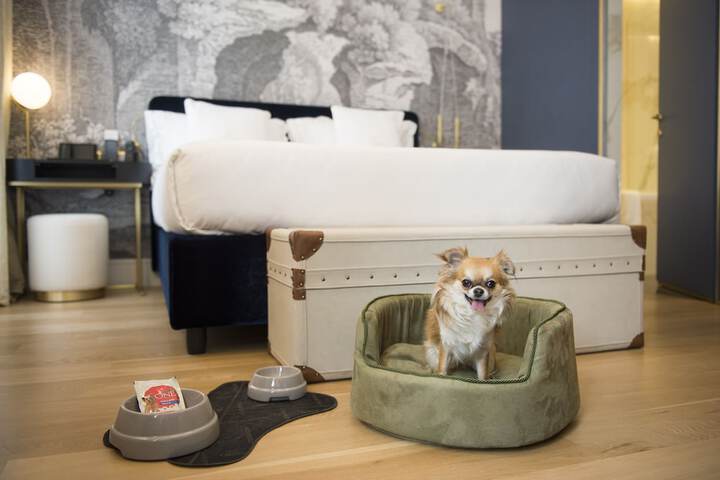 Pet Friendly 81 of 122