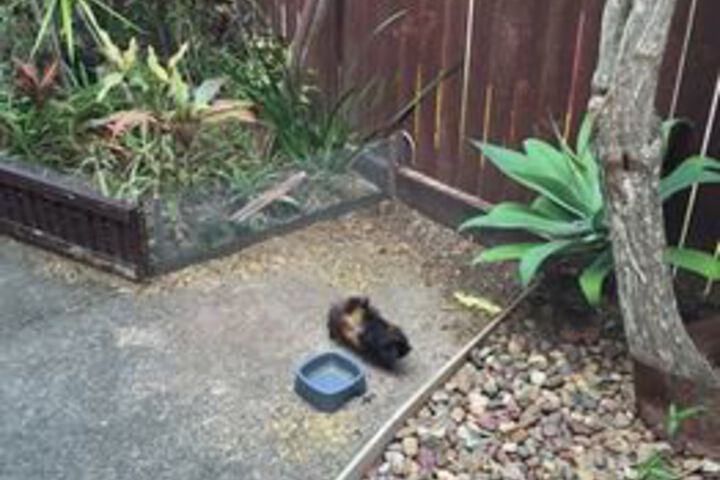 Property Grounds 14 of 15