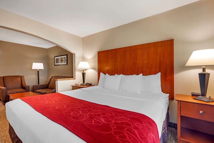 1 King Bed Suite (20 of 44)