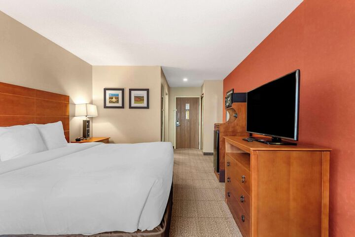 1 King Bed (6 of 8)