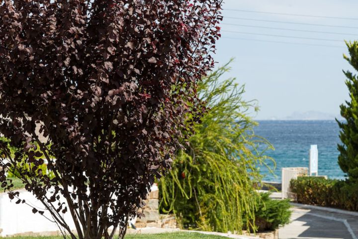 Terrace/Patio 128 of 136