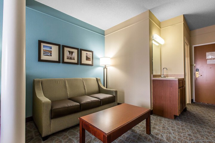 1 King Bed Suite (13 of 29)
