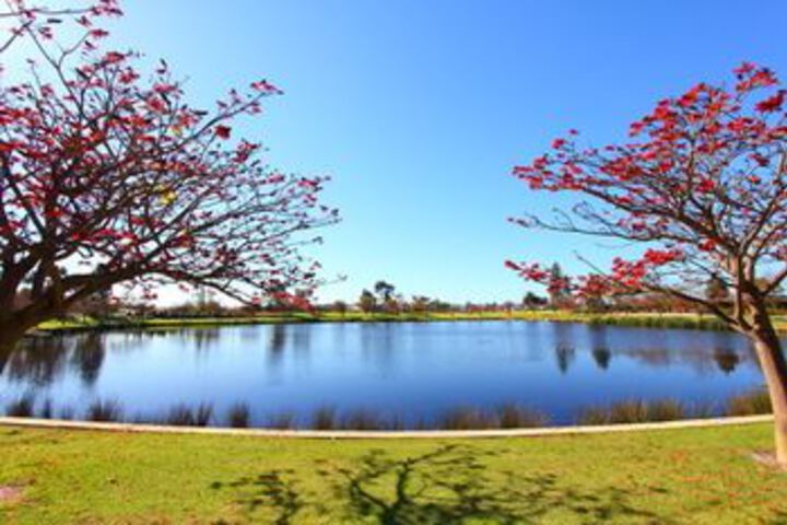 Property Grounds 18 of 33