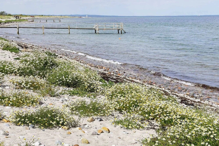 Beach 9 of 21
