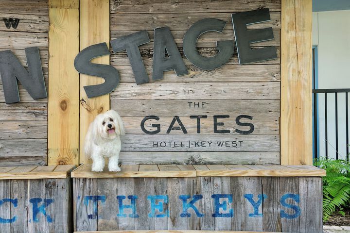 Pet-friendly