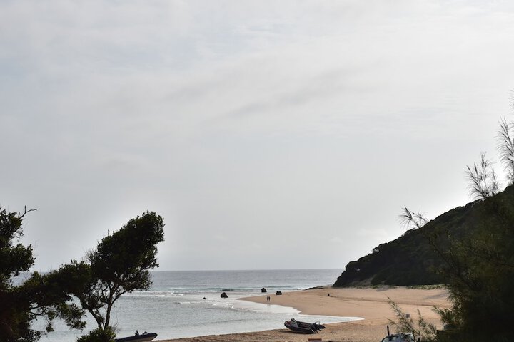 Beach 50 of 58