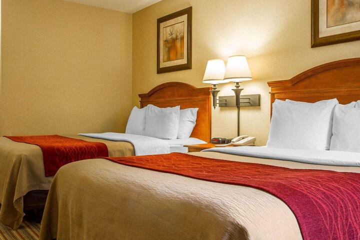 2 Queen Beds (8 of 12)
