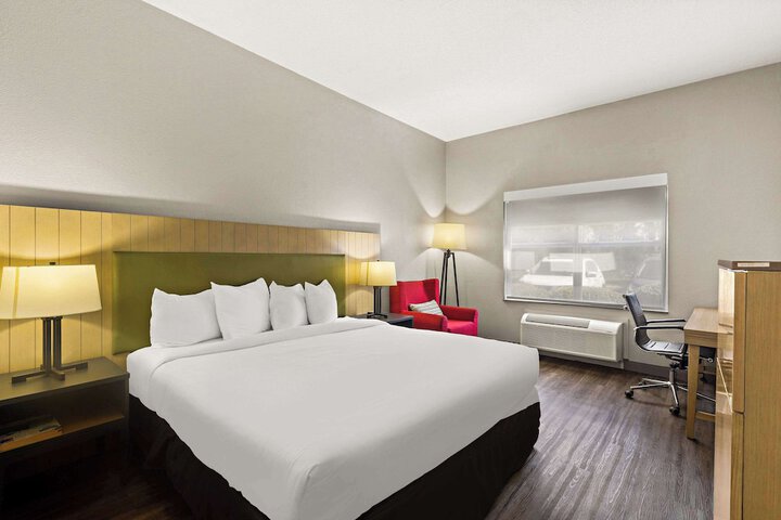 1 King Bed (8 of 18)